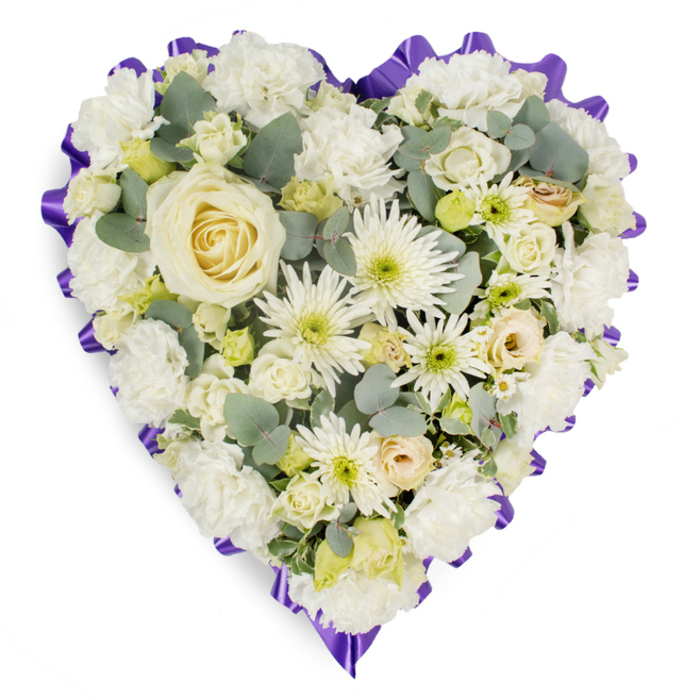 A detailed heart-shaped funeral tribute, crafted in a soothing palette of whites, creams, and soft greens, is pictured against a bright white backdrop, as if displayed in a quiet Hatch End flower studio before delivery to a local chapel or crematorium. The heart is completely filled, with no gaps between the blooms, creating a rich, velvety surface of petals. At the very centre sits a large creamy-white rose, its petals tightly layered yet beginning to open into a full rosette, drawing the gaze inward and giving the design a clear focal point. Surrounding this central rose is a generous collar of white carnations, their frilled edges forming a plush cushion that softens the contours of the heart. White spider chrysanthemums, with their narrow, spidery petals radiating from gently tinted pale green centres, are scattered throughout, adding contrast and fine-textured movement that catches the light. Smaller, more compact rosebuds in shades from pure white to soft cream and a whisper of pale yellow are tucked between the larger blooms, some showing just a blush of peach or pink at the edges, suggesting tenderness and the layers of emotion held within a farewell. Tiny clusters of fresh, almost lime-green buds or miniature flowers give a hint of brightness and life, balancing the more subdued cream tones. Silvery-blue eucalyptus foliage is carefully threaded in, its rounded leaves peeking out here and there to give depth, shape, and a gentle, natural rhythm to the composition. Framing the entire heart, a deep purple ruffled ribbon curves around every edge, sharply defining the shape and adding a dignified contrast, reminiscent of funeral tributes seen at services in Hatch End, Pinner, or Northwood. The overall impression is one of thoughtful craftsmanship and quiet devotion, a floral message of condolence that speaks of enduring love, respect, and peace.