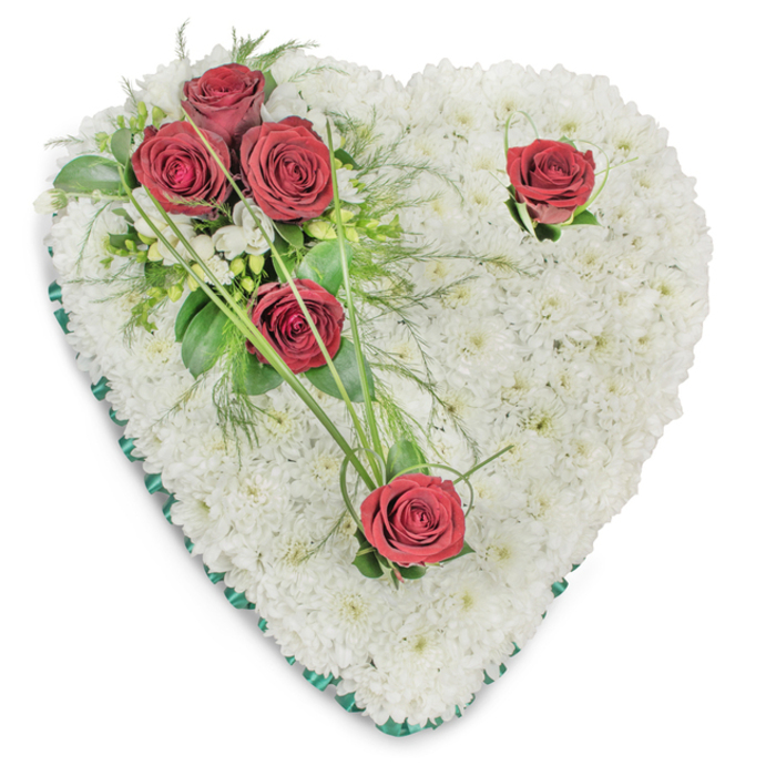 Presented on a pristine white background, this heart-shaped sympathy arrangement is a study in contrast and restraint. A full, seamless field of tiny white chrysanthemum blooms forms a dense, cushion-like plane whose repeated round centers create a soft, rhythmic texture under direct, top lighting that reveals delicate shadows and petal edges. On the upper left three deep red roses are grouped together, their petals unfurled into classic, velvet spirals and set among broad glossy foliage, fern-like fronds, and a few slender bear-grass blades that extend in gentle arcs; these elements introduce movement and a green counterpoint to the white expanse. Two single red roses are placed with intention-one almost tucked into the upper right curve of the heart, the other pointing toward the lower tip-each accented with minimal green leaves and a scattering of tiny white filler blossoms that read like punctuation marks across the composition. A thin, emerald-green satin ribbon neatly trims the heart's perimeter, its smooth sheen framing the piece and lending a quiet formality. The sensory impression is composed: the cool, clean sight of white, the warm depth of crimson, the soft fragrance of roses tempered by the mild, powdery scent of chrysanthemums. As a local floral designer familiar with Hatch End's churches and funeral parlours, I see this as a comforting, traditional memorial wreath-crafted to offer solace and to speak of devoted remembrance without extravagance.
