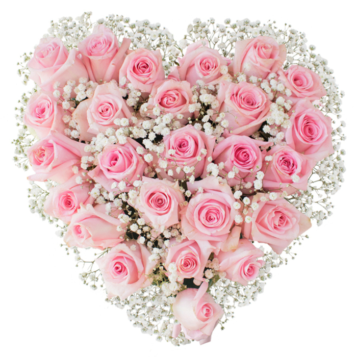 A meticulously shaped heart of pink roses occupies the view, built from roughly two to three dozen fresh blooms whose pale, pastel petals create a lush, tactile surface. The roses are arranged with floristry precision: heads packed tightly for a continuous velvety texture, each bloom at a slightly different stage so the surface reads with depth - some still tightly furled, others unfolding to show soft spirals and inner shadows. Threaded through and around those roses are abundant sprays of delicate white baby's breath (Gypsophila), their tiny, open blossoms forming a soft, almost misty counterpoint that brightens and defines the heart's edge against the stark white backdrop. The lighting is clear and even, highlighting the subtle tonal shifts from blush to a slightly richer pink and the gentle sheen of healthy petals; fine details such as petal veining and the airy gaps between gypsophila clusters are all visible. From a craft perspective, the arrangement demonstrates careful balance: weight and colour are evenly distributed so the heart reads symmetrical and composed, a gesture of cultivated devotion. Locally, this kind of piece would be the sort of sentimental favourite delivered across Hatch End and nearby Pinner for weddings, anniversaries or as a dignified expression of sympathy - a floral statement that blends romantic softness with the quiet polish of expert assembly, offering both visual comfort and tactile elegance when experienced up close.