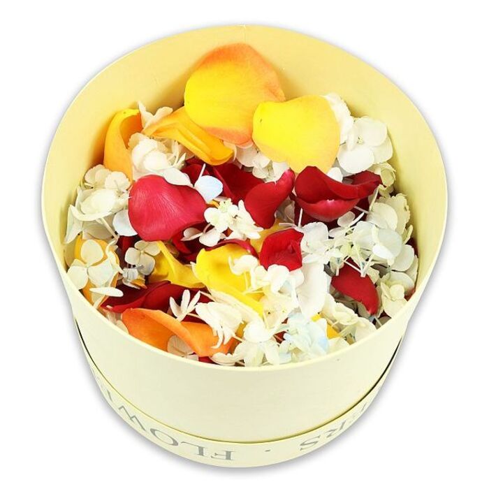 The photograph presents a close, carefully composed view of a pale, cream-yellow round gift box filled to the brim with dried flower petals, designed as a tender funeral or memorial tribute. The cylindrical box is simple and refined, likely crafted from sturdy paperboard, with understated lettering along the side that reads FLOWERS in soft, debossed capitals. Its warm, neutral tone creates a gentle frame for the vivid contents, much as a calm space in a Hatch End chapel might frame a moment of reflection. The open top reveals an opulent mix of petals and tiny florets, densely layered and slightly domed in the centre, giving a sense of generous volume. Deep crimson rose petals dominate the eye, their velvety surfaces and soft curves suggesting the richness of a classic condolence rose. Scattered among them are bright yellow petals reminiscent of late afternoon light over Pinner Park, and soft peach-orange petals that add a mellow, comforting glow. Across this rich palette, clusters of tiny white flowers-likely dried hydrangea florets-appear in countless little blooms, each four-petalled head almost like tissue paper. These white and faintly bluish florets bring airiness and texture, catching subtle highlights as though touched by gentle daylight through a window. The overall effect is one of layered colour, texture, and symbolism: love, remembrance, and the warmth of shared memories. With the pure white background lending a serene, almost gallery-like setting, the image highlights how such petals can be used for scattering at a funeral service, lining a memory path, or filling a commemorative bowl at a wake held in and around Hatch End. It feels like a modern, eco-friendly way to honour a life, crafted with the quiet expertise of local florists who understand the needs of grieving families.