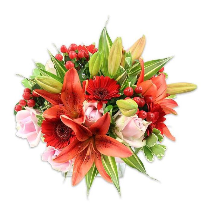 Set against a pure white background that highlights colour and craft, this dense, rounded bouquet unfurls in a warm spectrum of orange-reds, deep crimsons, and pale blush pinks. Towering yet tender Asiatic lilies in a saturated orange-red form the primary focal points; their recurved petals show subtle mottling, and their stamens add a dark, elegant point of contrast. Around them, vivid red Gerbera daisies with many narrow petals and darker central disks create a lively mid-layer of texture, while delicate pale pink roses - from tight, wistful buds to more open, layered blossoms - lend softness and romantic depth. Small clusters of bright red hypericum berries are tucked into pockets between blooms, providing a glossy, jewel-like texture and a cheerful, seasonal accent. The bouquet is generously padded with assorted greenery: broad, solid green leaves give weight and structure, while variegated foliage with pale streaks injects lightness and visual interest, and slender lily leaves sweep through the composition, suggesting movement. The photographic lighting is clean and direct, emphasizing petal edges and the sheen of berries so that tactile qualities - the velvety roses, the papery lilies, the crisp foliage - read clearly. This is an arrangement that communicates warmth and occasion: ideal for celebrating anniversaries, marking birthdays, or offering as a thoughtful gift to someone in Hatch End or nearby Pinner. I imagine this carefully composed bouquet brightening the window seat of a home near Headstone Manor as much as returning after a morning market stroll.